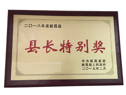 县长特别奖