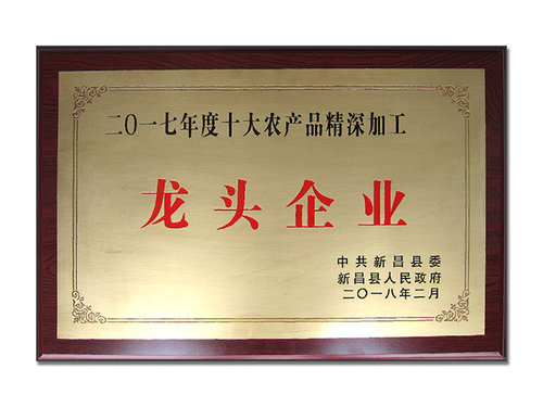 龙头企业