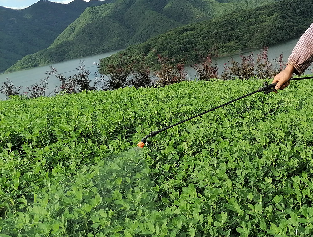 春季播种花生时期